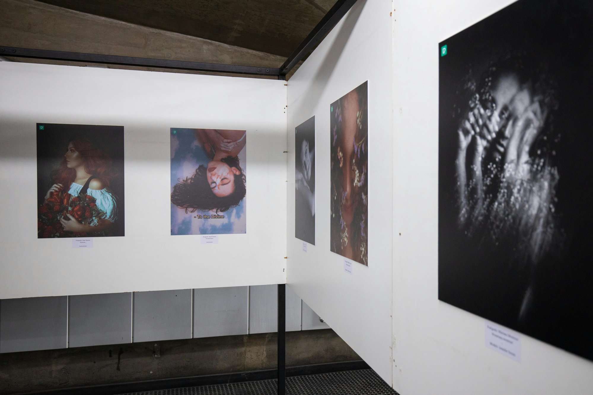 pexels-bertellifotografia-11489976 pexels-bertellifotografia-11489976